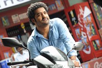 NTR Dammu Exclusive Stills